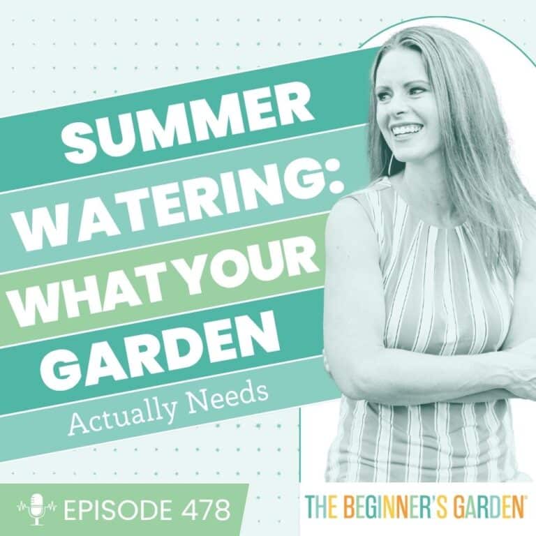 478 – Summer Watering: What Your Garden Actually Needs